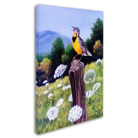 Trademark Fine Art Arie Reinhardt Taylor 'Meadowlark' Canvas Art, 16x24 ALI15546-C1624GG